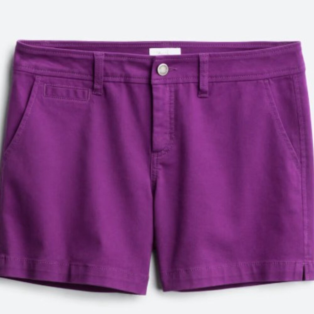 Market & Spruce Purple Shorts Size 8